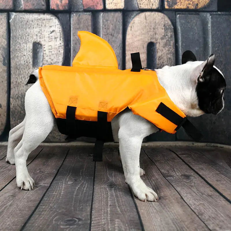 Pet Swimwear for Safety