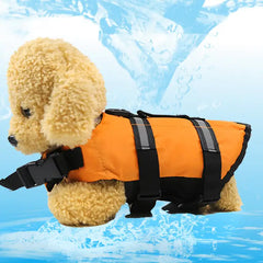 Dog Swimsuit for Water Safety