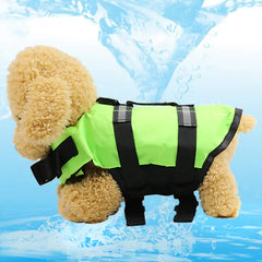 Dog Swimsuit for Water Safety
