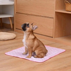 Cooling Summer Pad Mat For Dogs